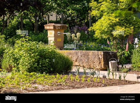  Le Jardin de la Paix: Un Oasis de Sérénité au Coeur de Zoning Industriel!