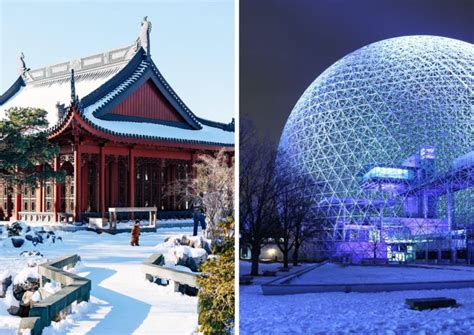 Le Jardin Botanique de Wuxi: Une Odyssée Florale en plein Coeur de la Ville !