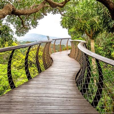 Le Jardin Botanique National Kirstenbosch: Un Oasis de Biodiversité au Cœur du Cap !