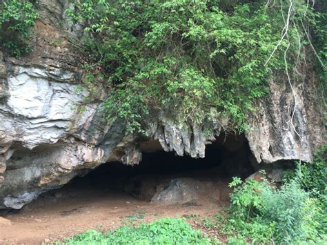 Le Tambun Cave: Un sanctuaire naturel fascinant et une destination historique incontournable !